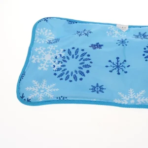 acheter Marque Generique Coussin De Siège De Coussin De Glace Pour La Sieste En Glace En été 9