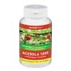 à prix imbattables Ineldea Acerola 1000 Vitamine C D’Origine Naturelle + Prébiotiques 11